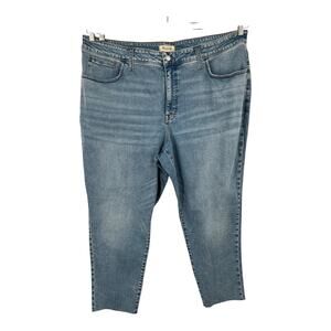 Madewell Jeans Curvy 10" High-Rise Roadtripper Authentic Skinny size 28W